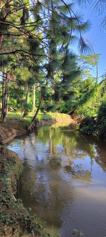 Sítio, 2 quartos, 1 hectares - Foto 2