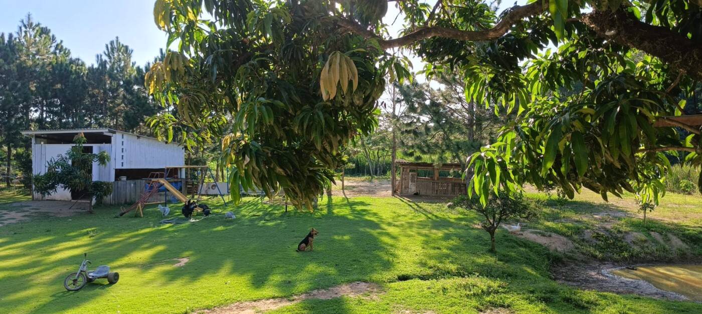 Sítio, 2 quartos, 1 hectares - Foto 32