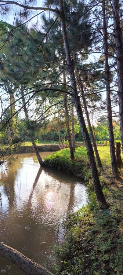 Sítio, 2 quartos, 1 hectares - Foto 33