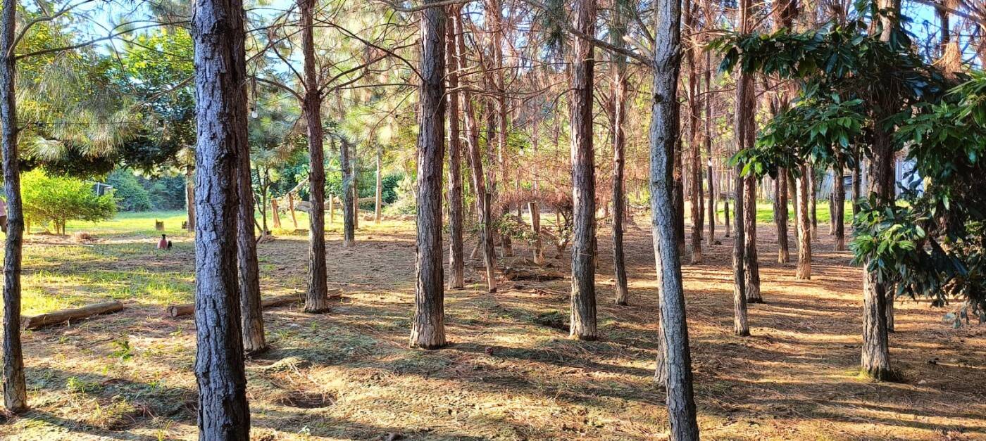 Sítio, 2 quartos, 1 hectares - Foto 35