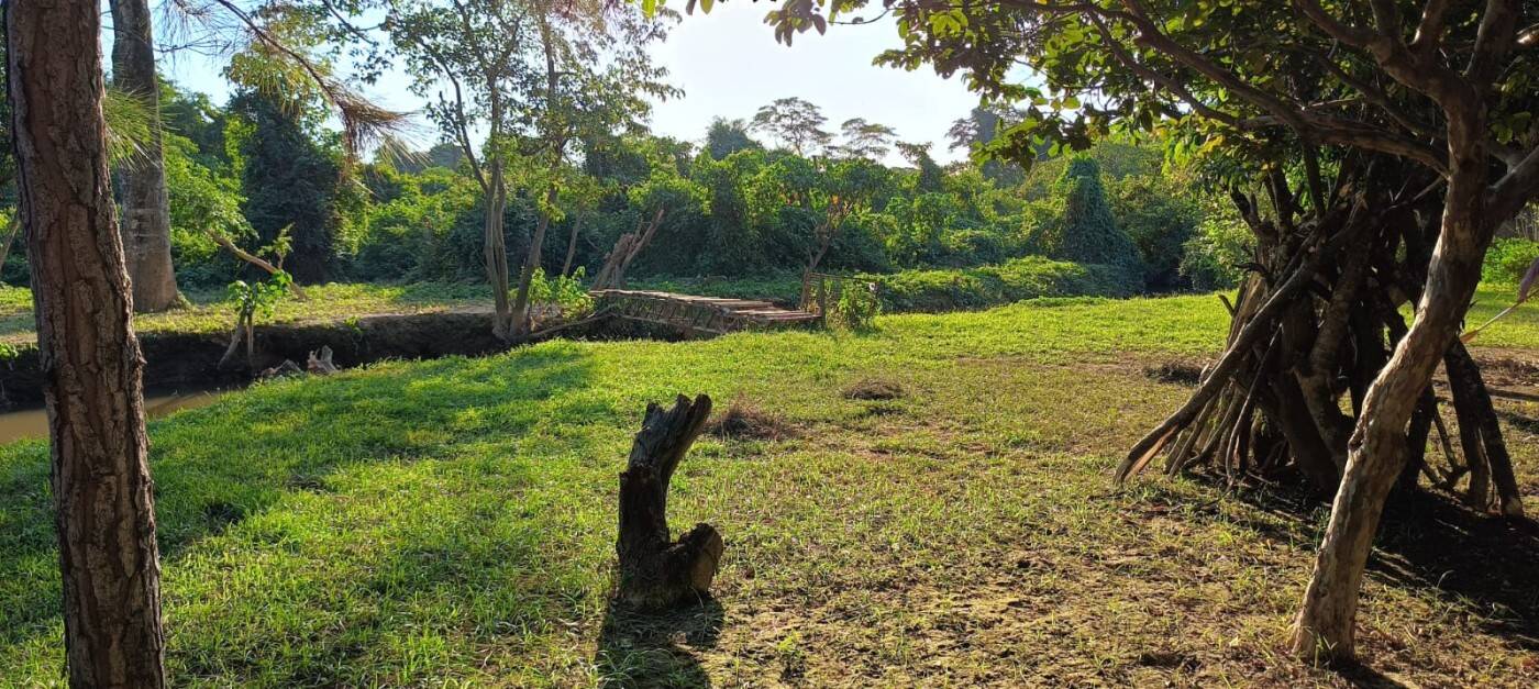 Sítio, 2 quartos, 1 hectares - Foto 36