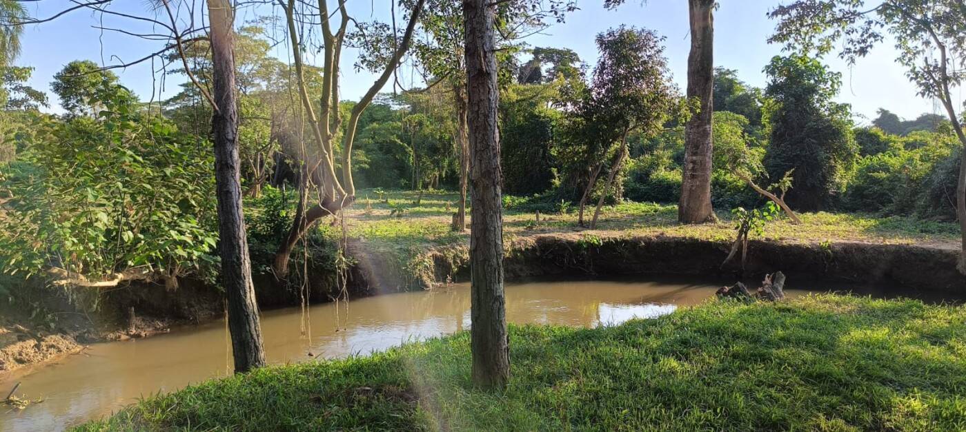 Sítio, 2 quartos, 1 hectares - Foto 37