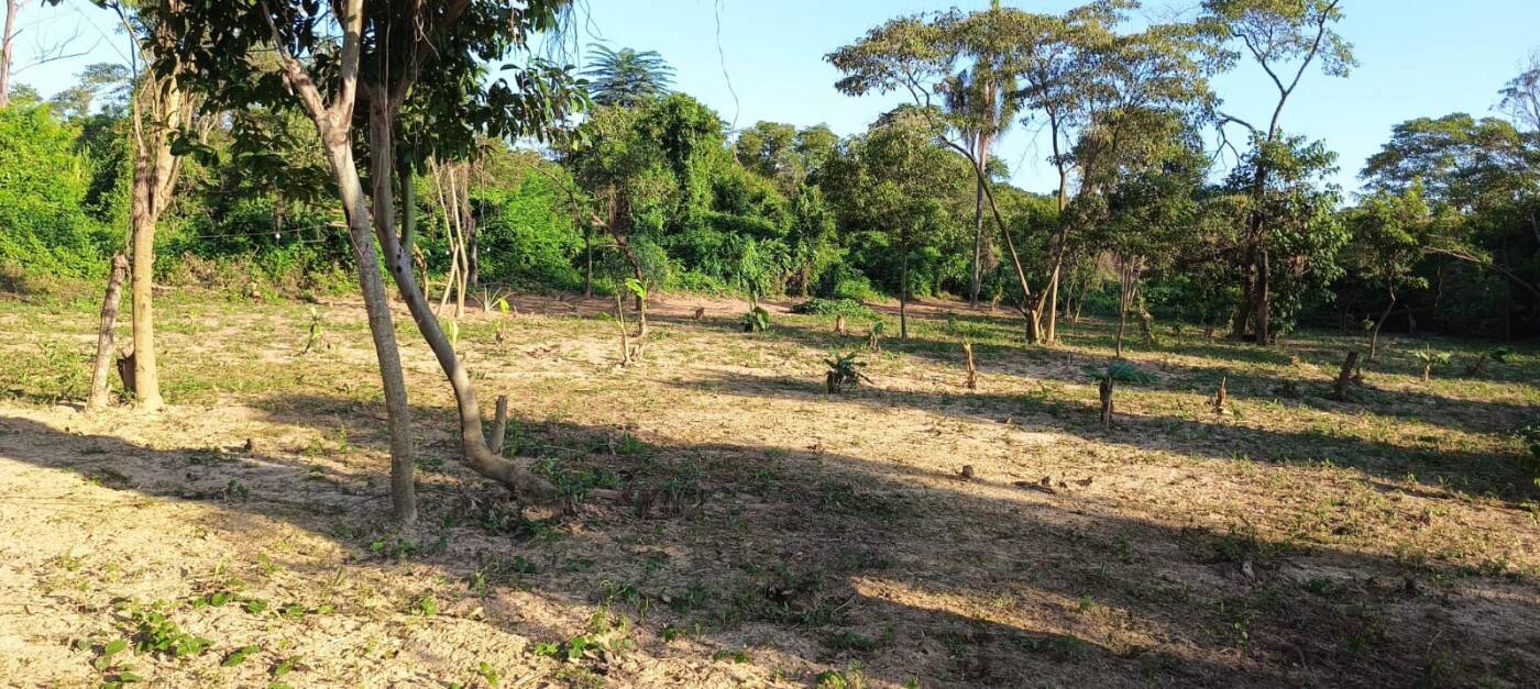 Sítio, 2 quartos, 1 hectares - Foto 39