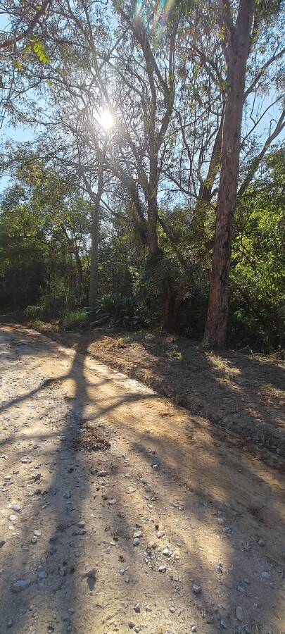 Chácara, 2 quartos, 1000 m² - Foto 4