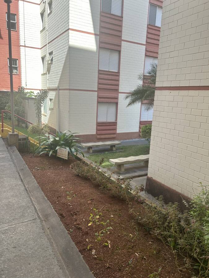 Apartamento, 2 quartos - Foto 13