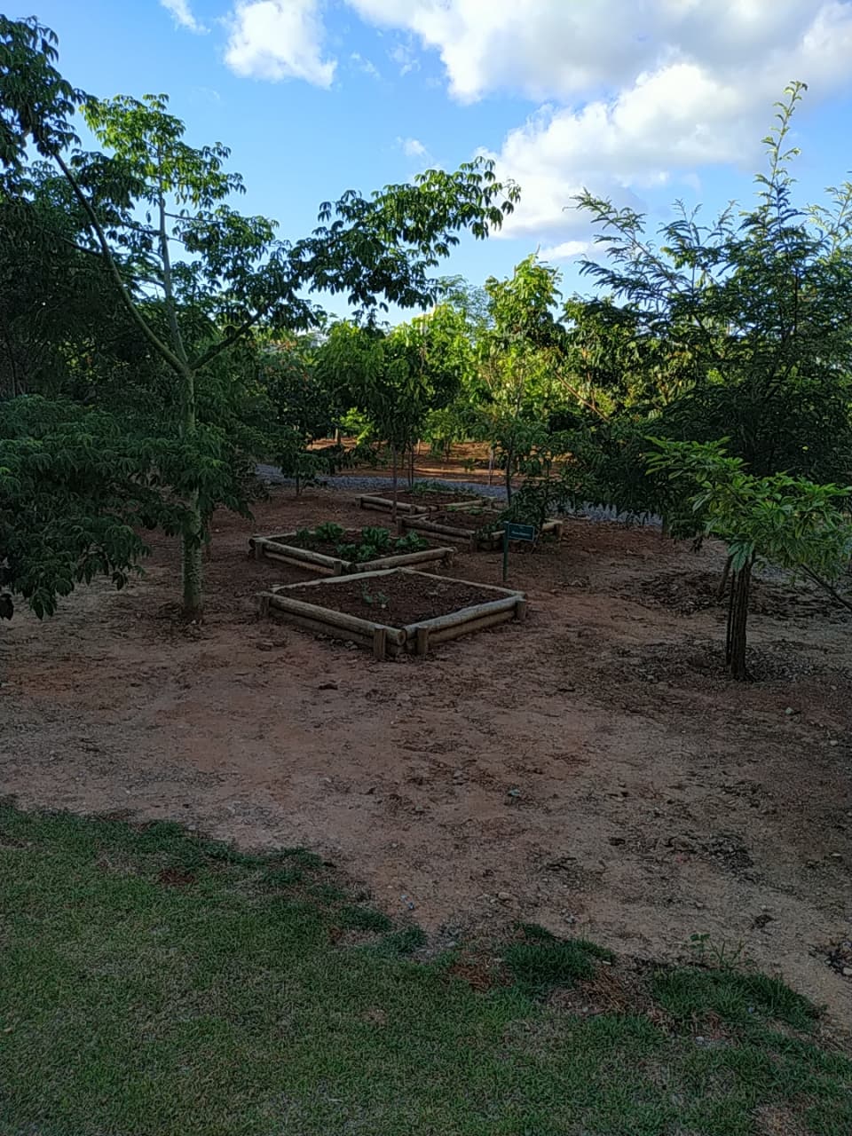 Apartamento, 2 quartos - Foto 15