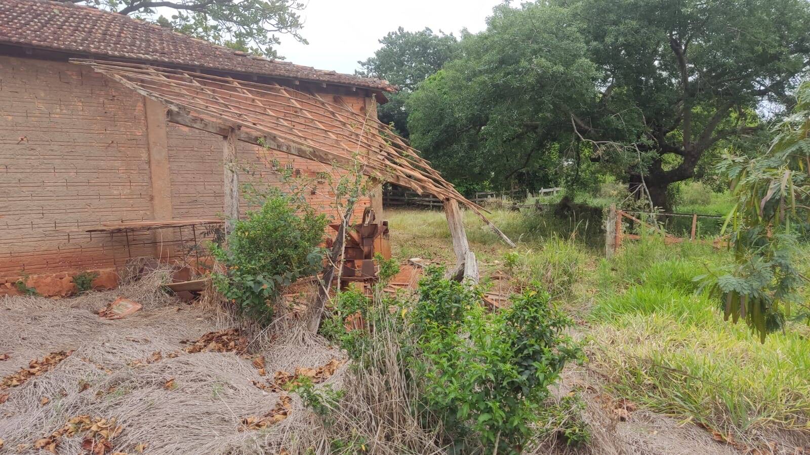 Sítio, 1 quarto, 24 m² - Foto 4