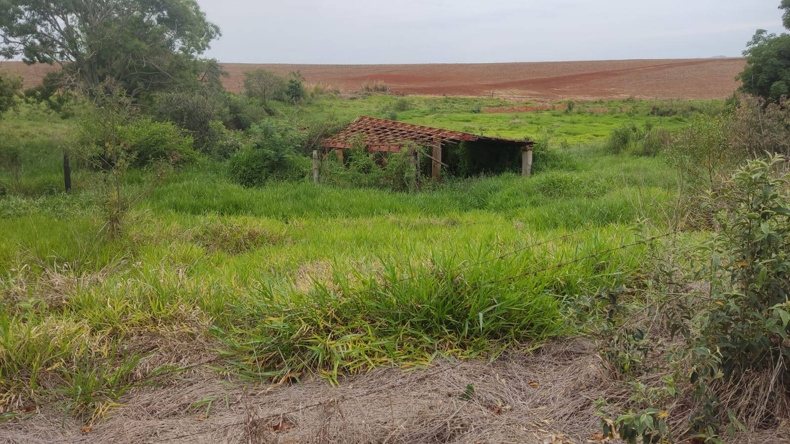 Sítio, 1 quarto, 24 m² - Foto 5