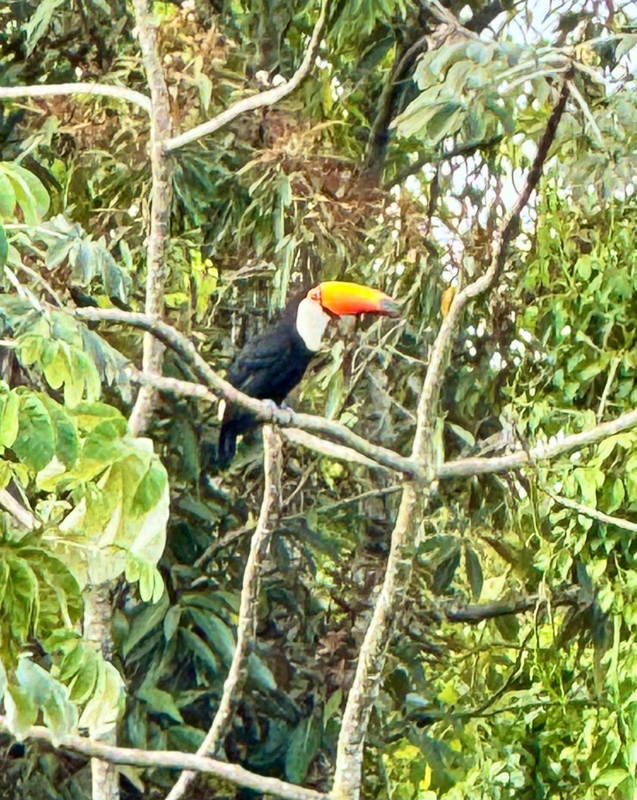 Terreno, 200 m² - Foto 5