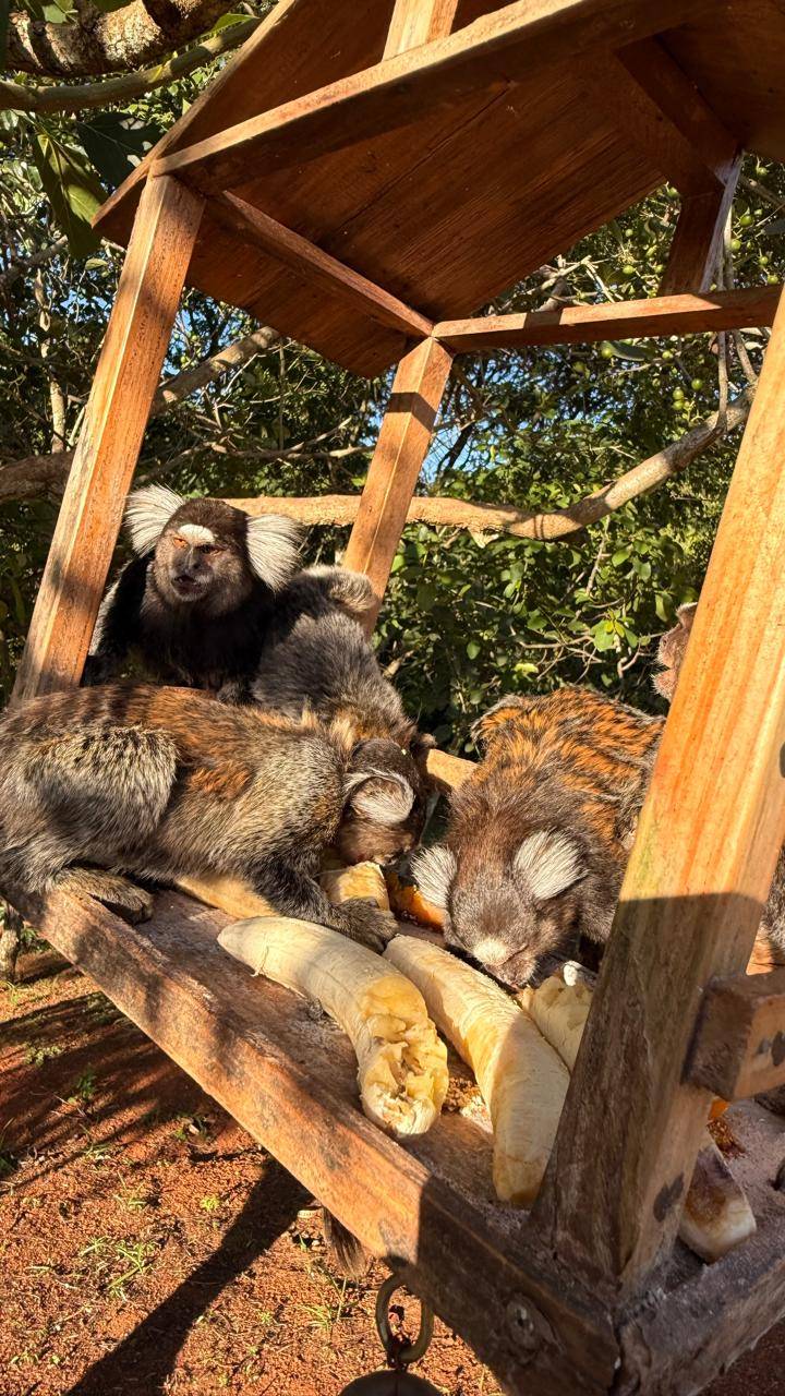 Terreno, 200 m² - Foto 10