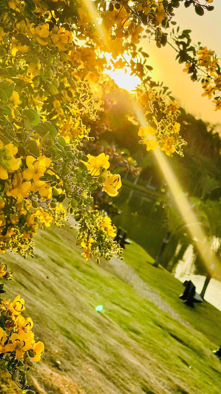 Terreno, 200 m² - Foto 11