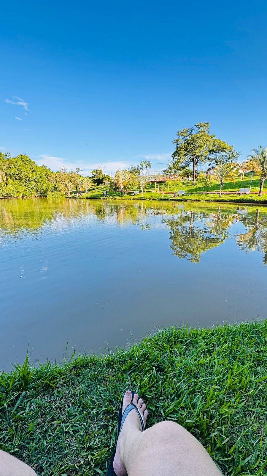 Terreno, 200 m² - Foto 2