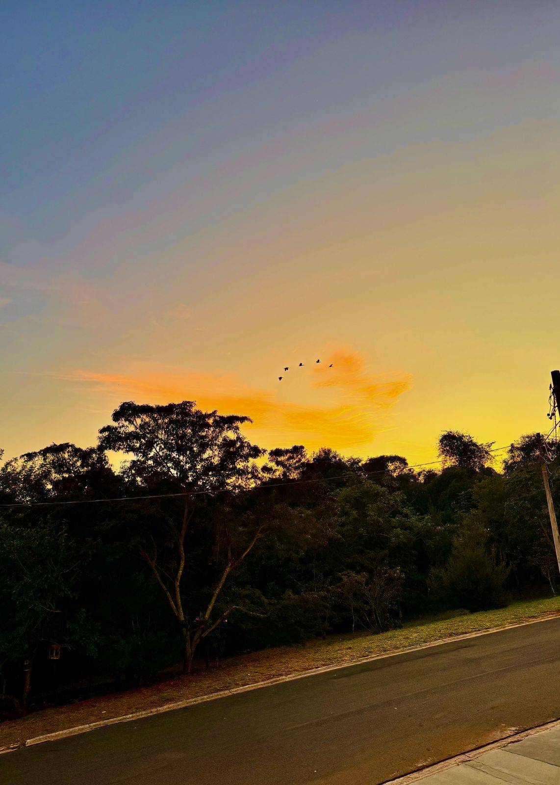 Terreno, 200 m² - Foto 16