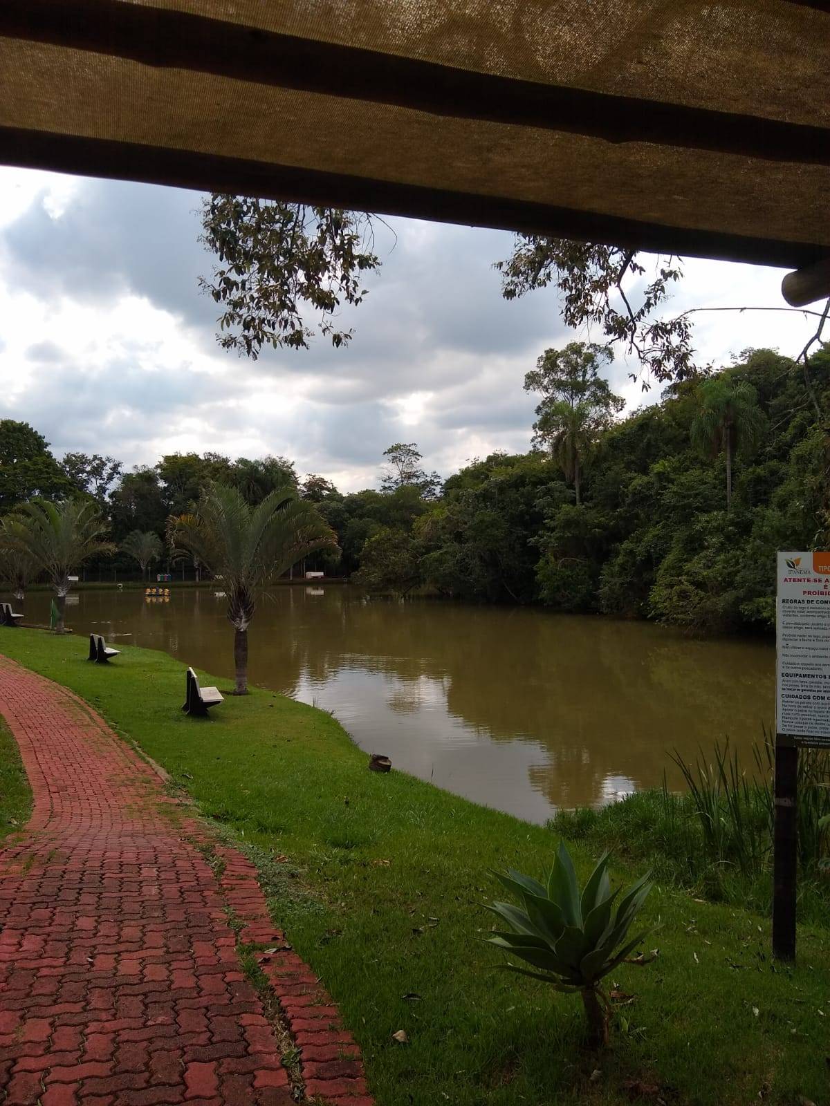 Terreno, 200 m² - Foto 19