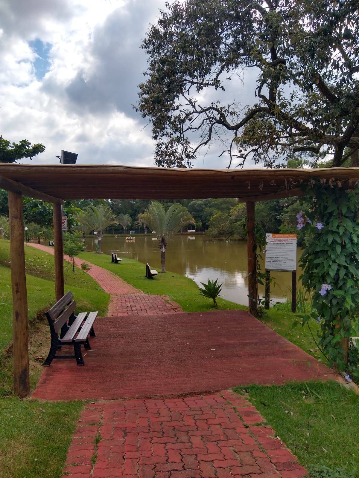 Terreno, 200 m² - Foto 24