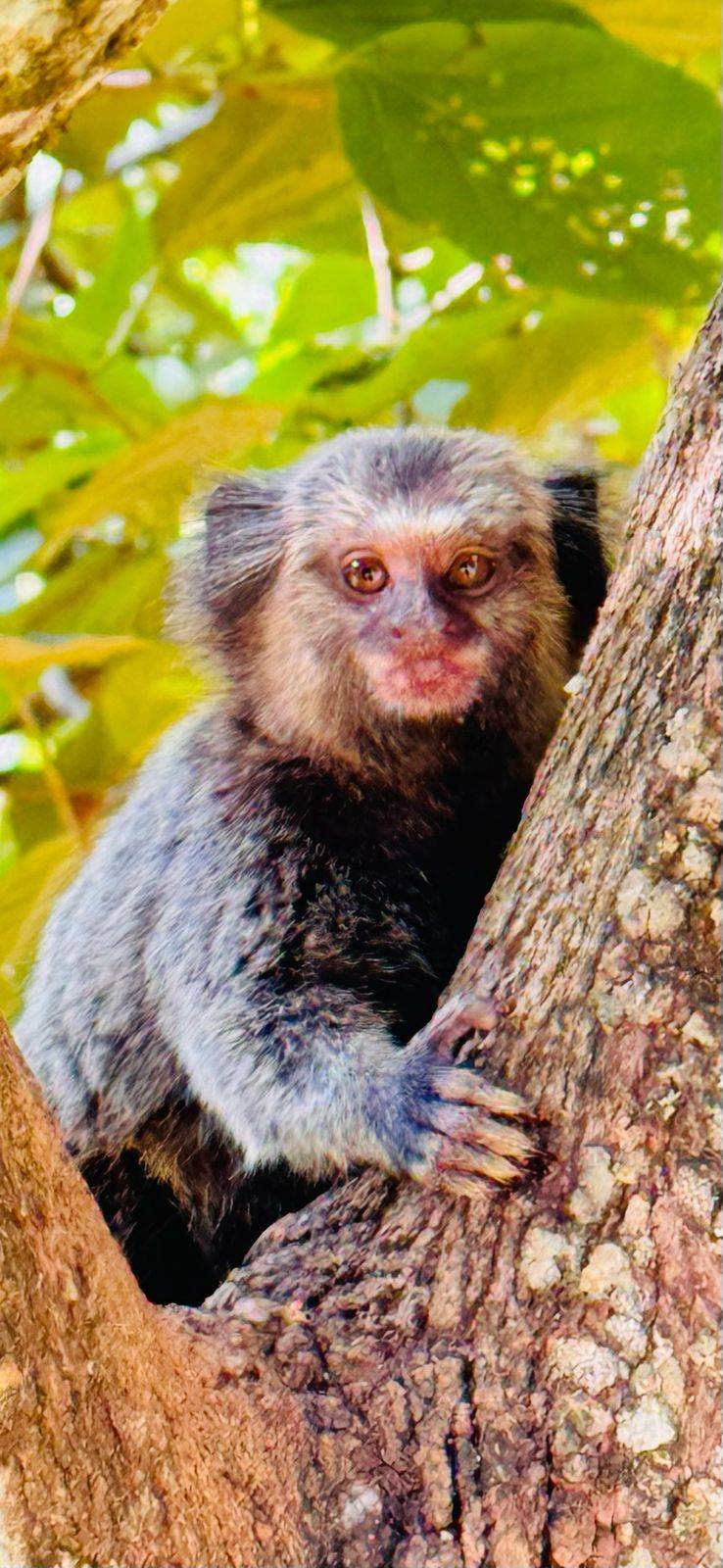 Terreno, 200 m² - Foto 27