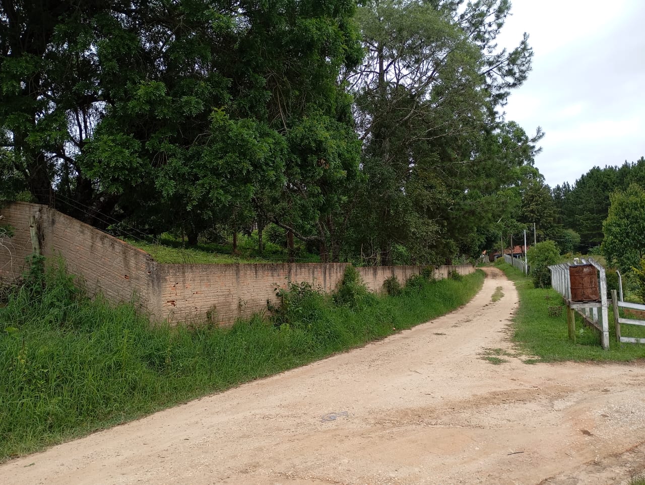 Sítio, 3 quartos, 4600 m² - Foto 2