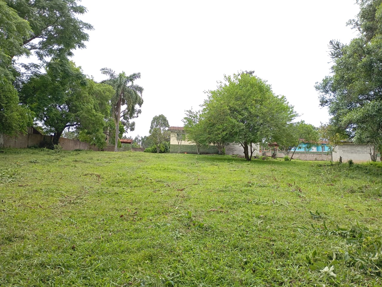 Sítio, 3 quartos, 4600 m² - Foto 4