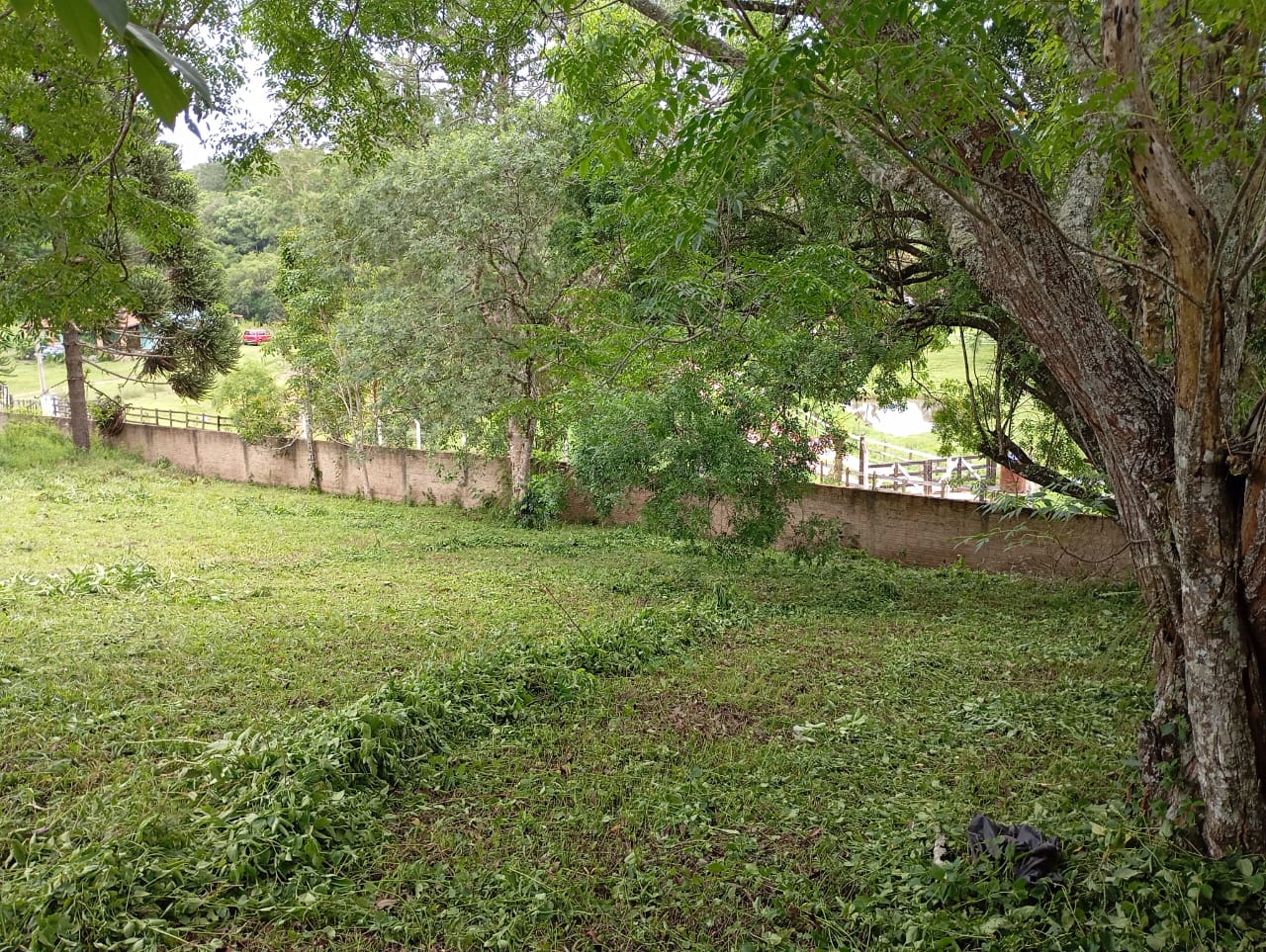 Sítio, 3 quartos, 4600 m² - Foto 6