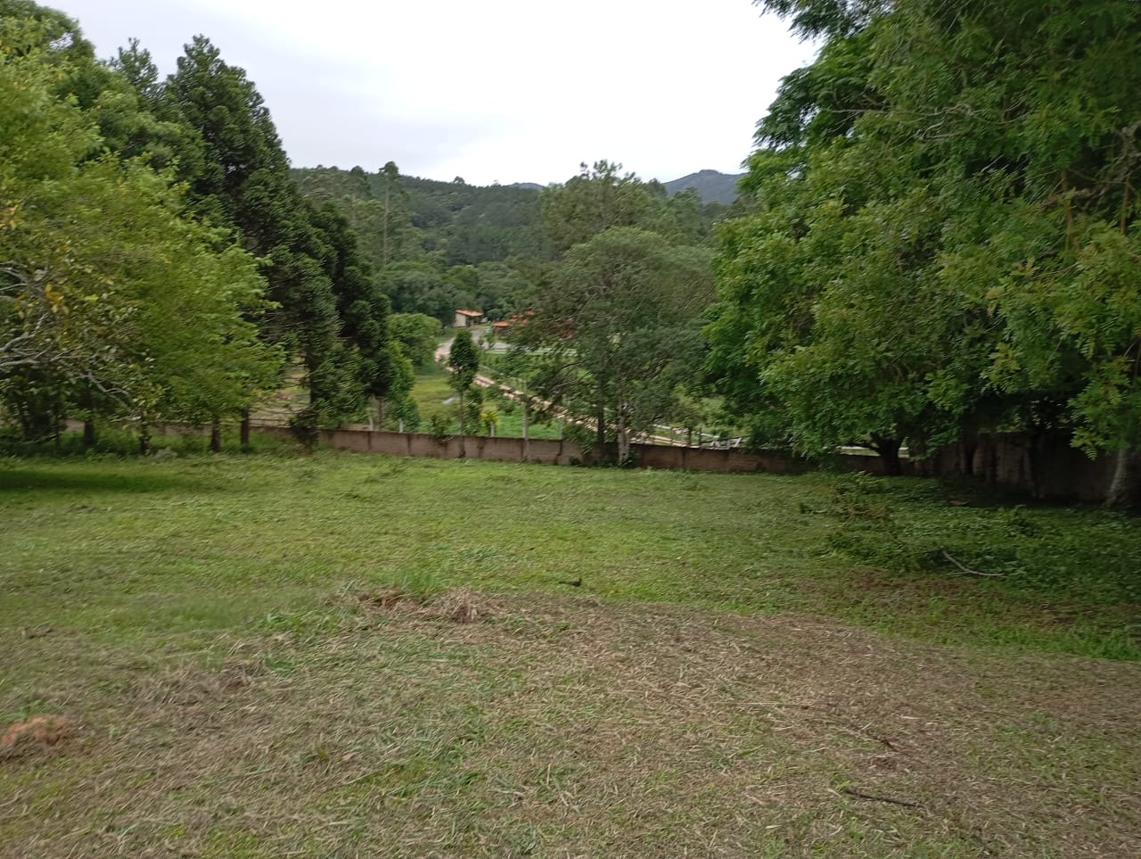 Sítio, 3 quartos, 4600 m² - Foto 5