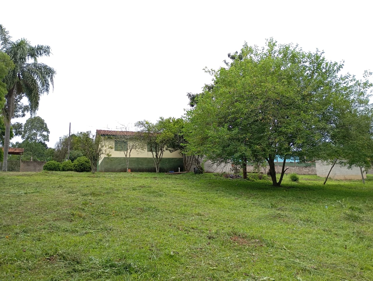 Sítio, 3 quartos, 4600 m² - Foto 9