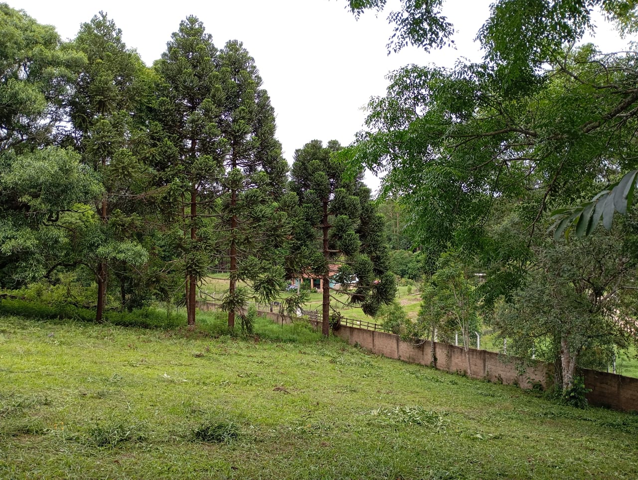 Sítio, 3 quartos, 4600 m² - Foto 12