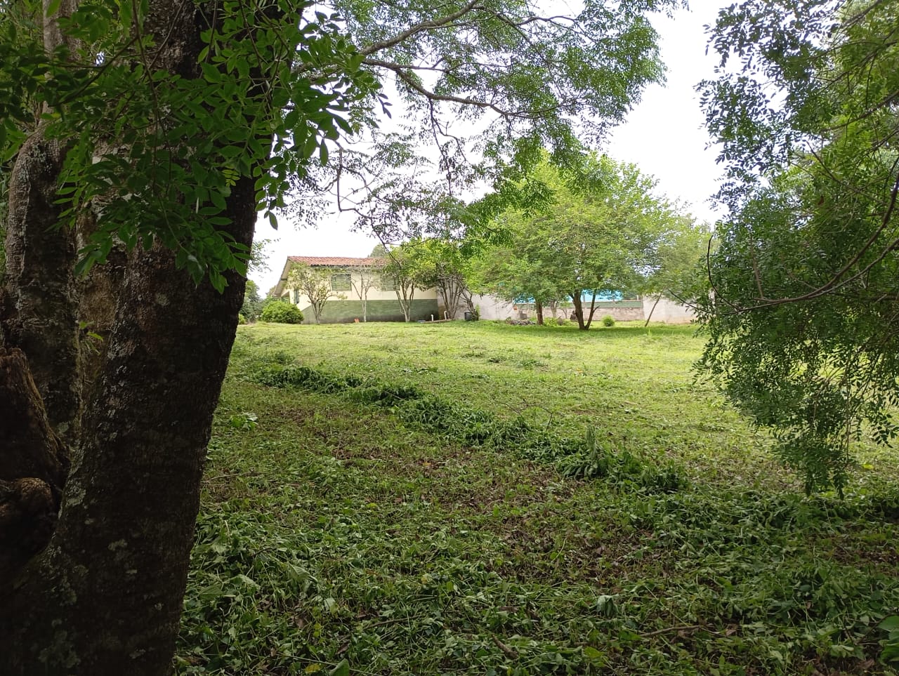 Sítio, 3 quartos, 4600 m² - Foto 8