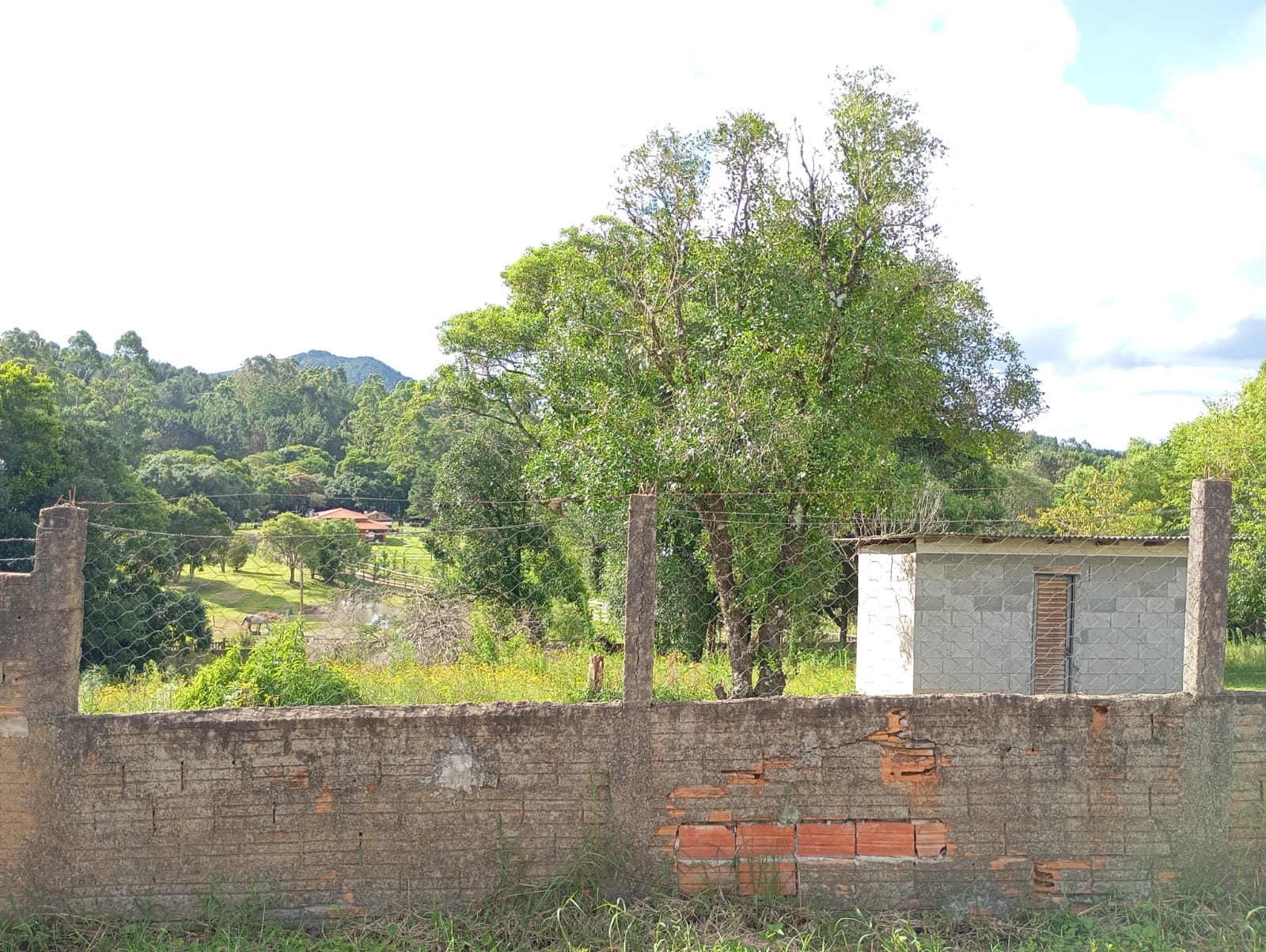 Sítio, 3 quartos, 4600 m² - Foto 19