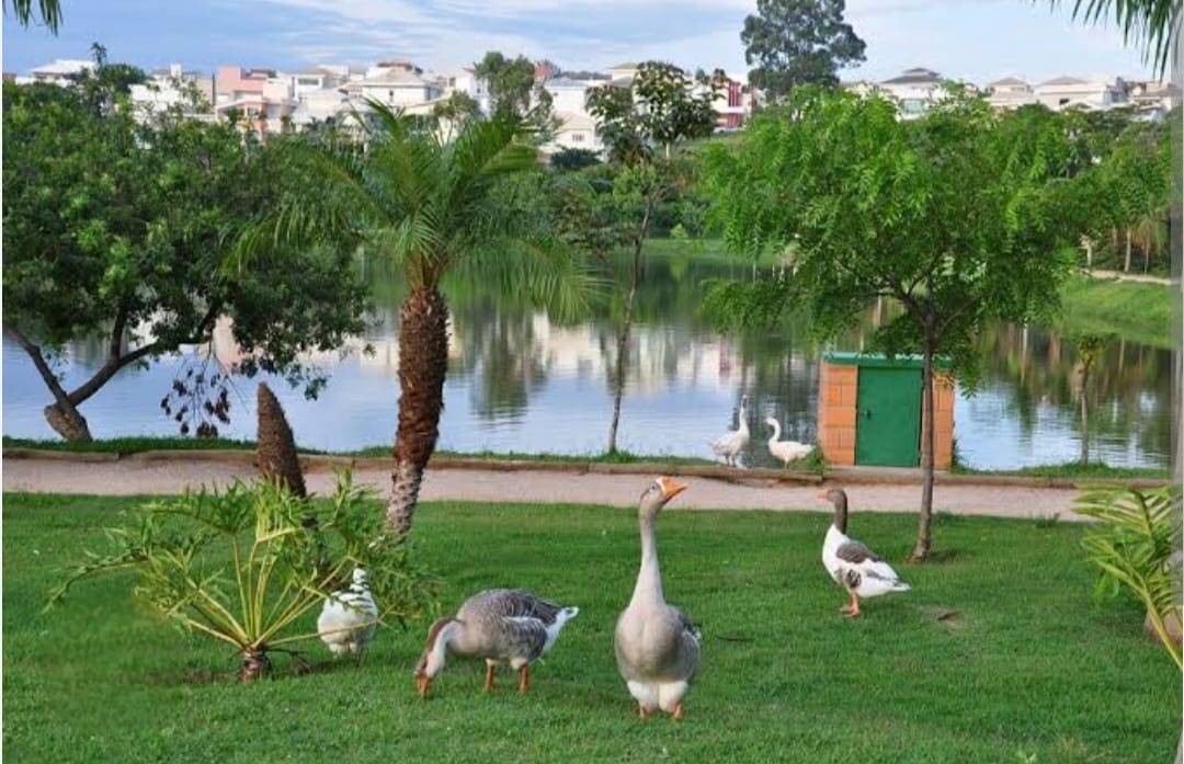 Terreno, 432 m² - Foto 10