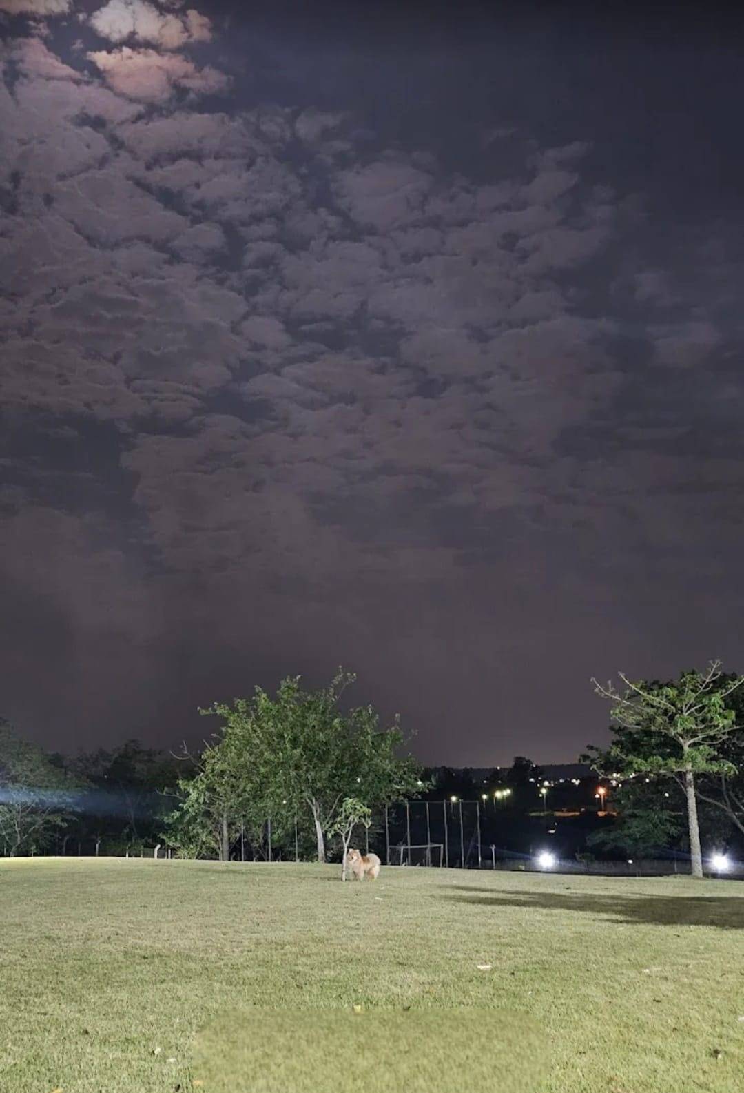 Terreno, 236 m² - Foto 3