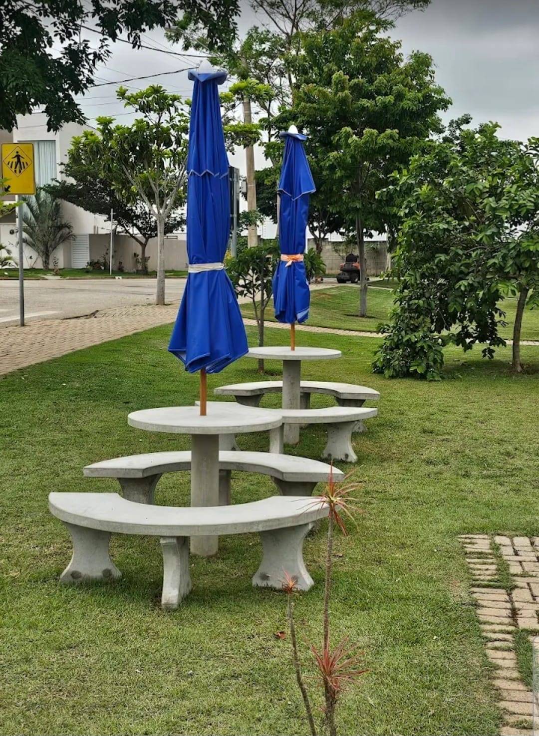 Terreno, 236 m² - Foto 7