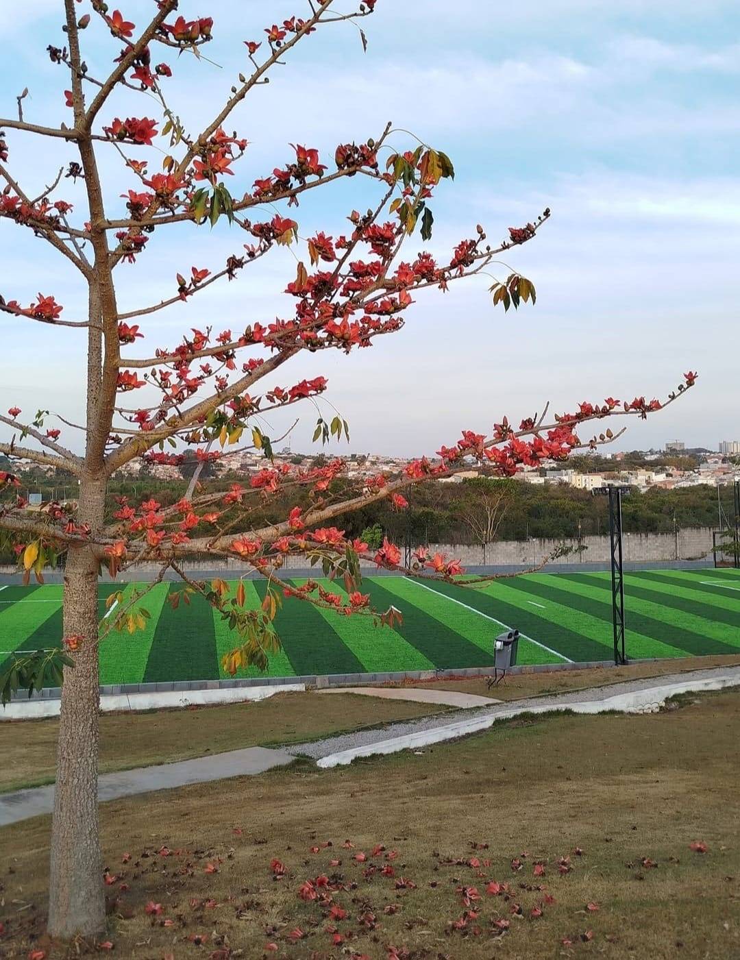 Terreno, 236 m² - Foto 6