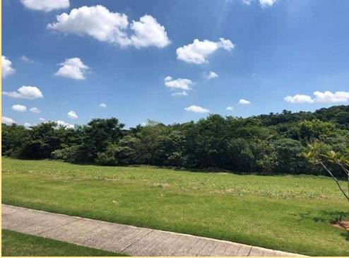 Terreno, 463 m² - Foto 3