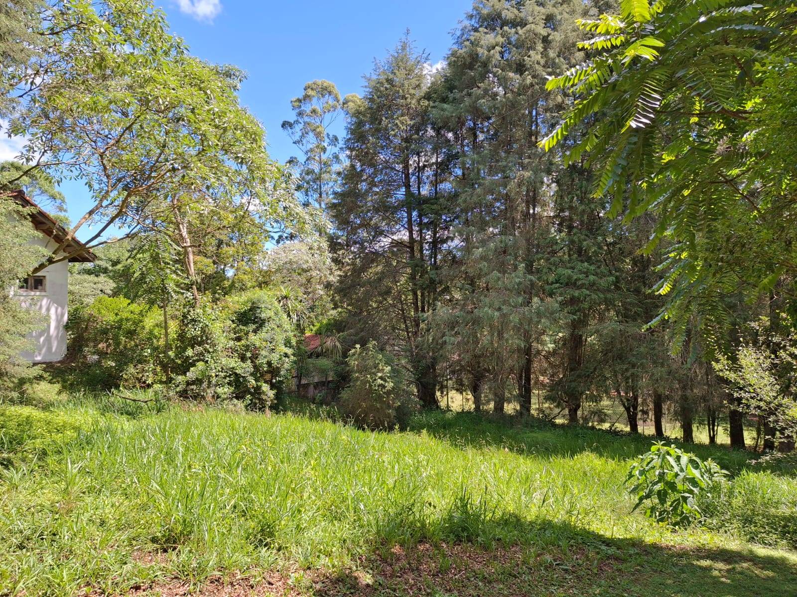 Terreno, 1179 m² - Foto 2