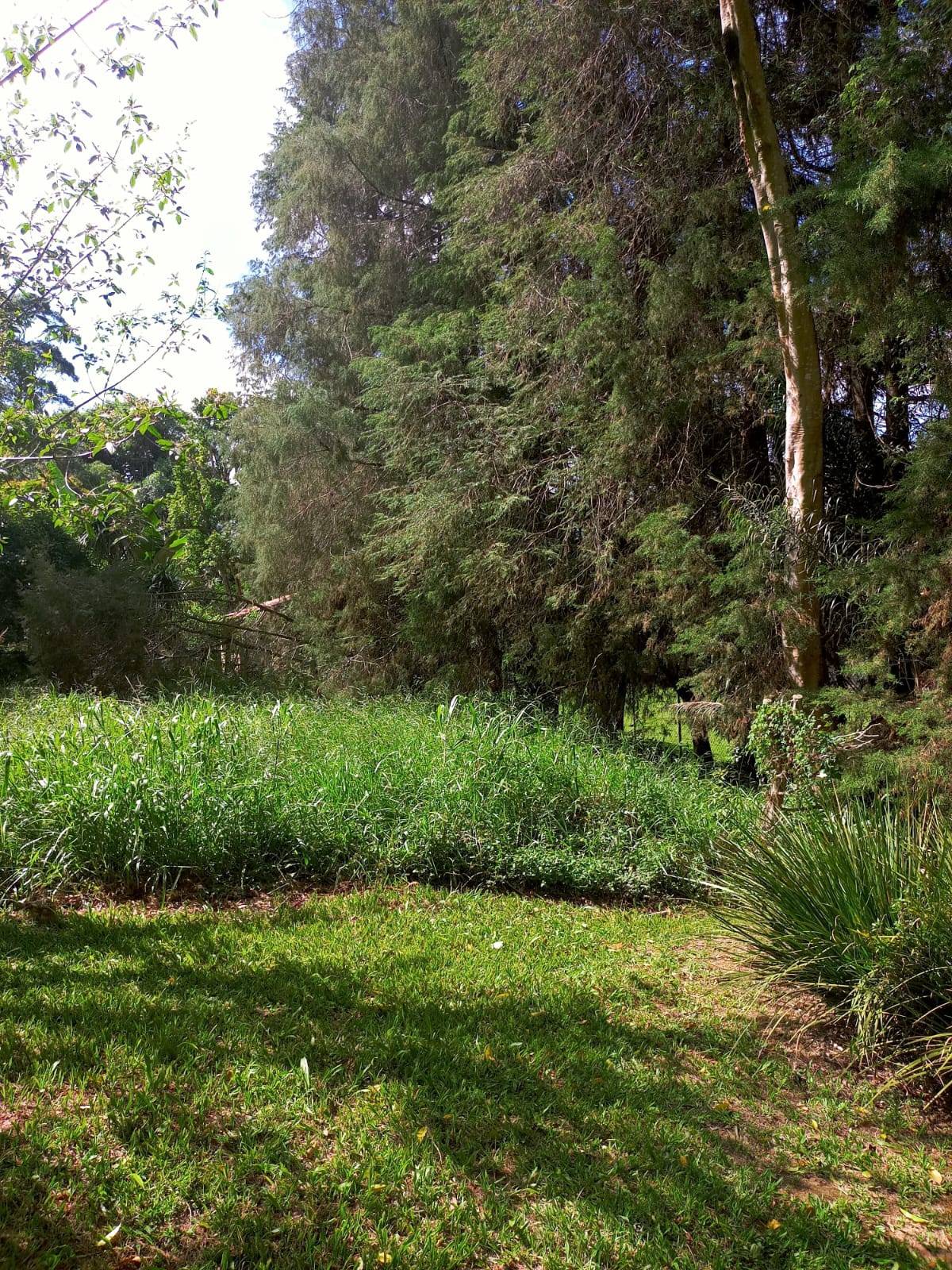 Terreno, 1179 m² - Foto 4