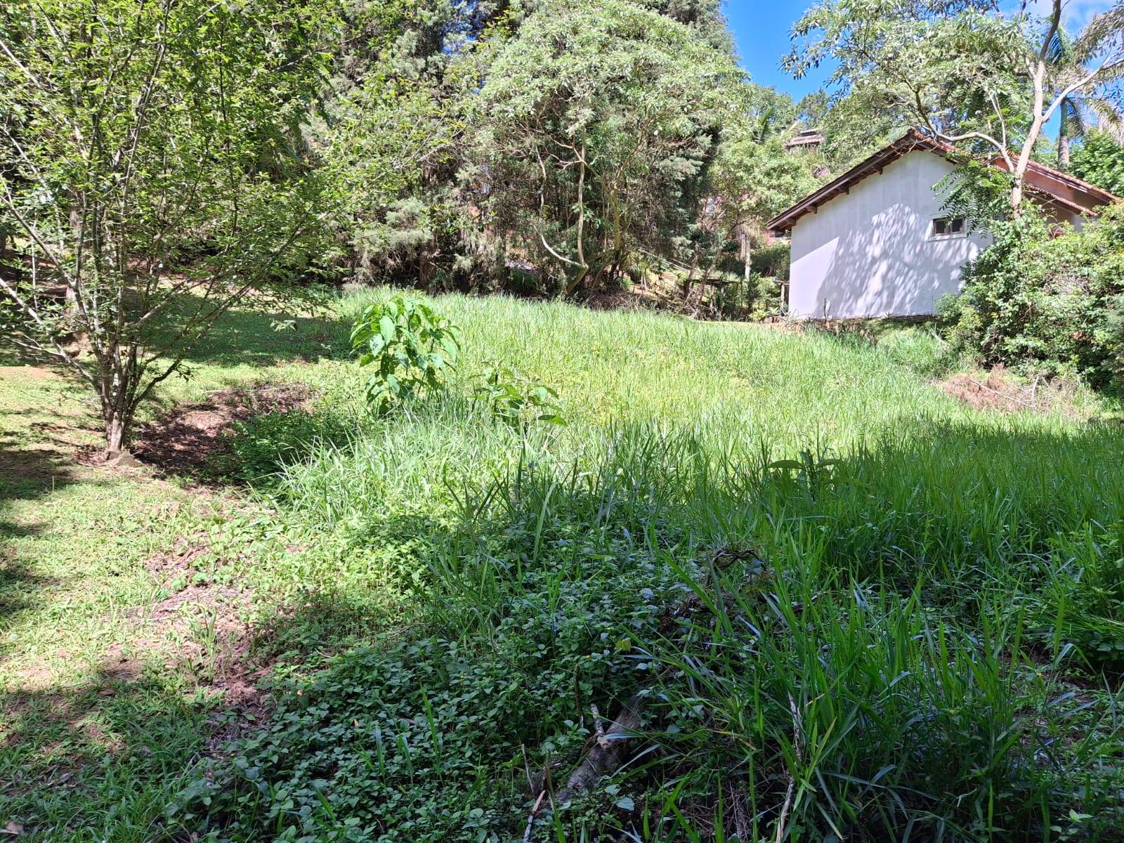 Terreno, 1179 m² - Foto 5