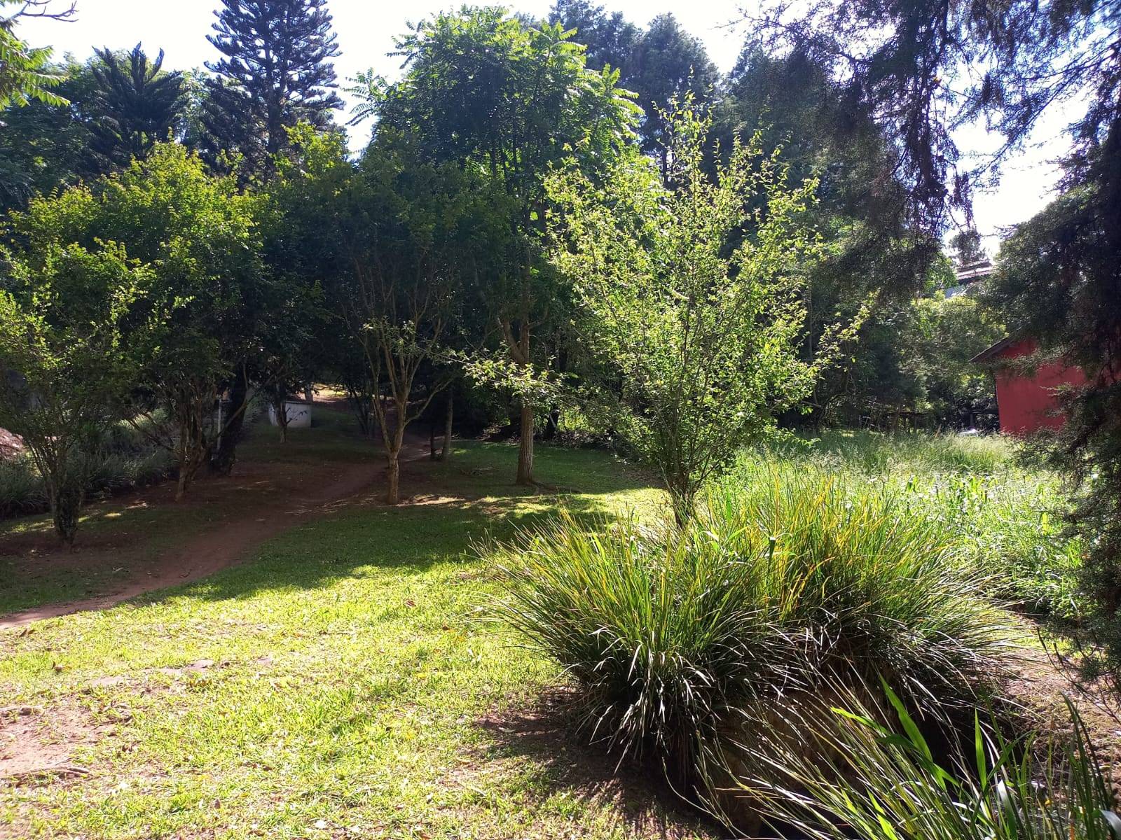 Terreno, 1179 m² - Foto 7