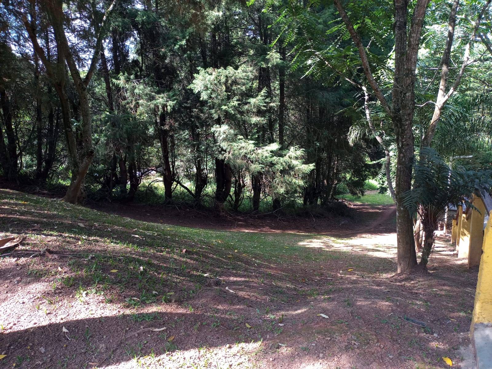 Terreno, 1179 m² - Foto 8