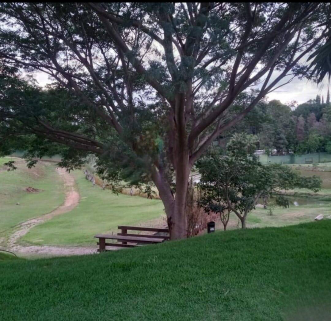 Terreno, 250 m² - Foto 4