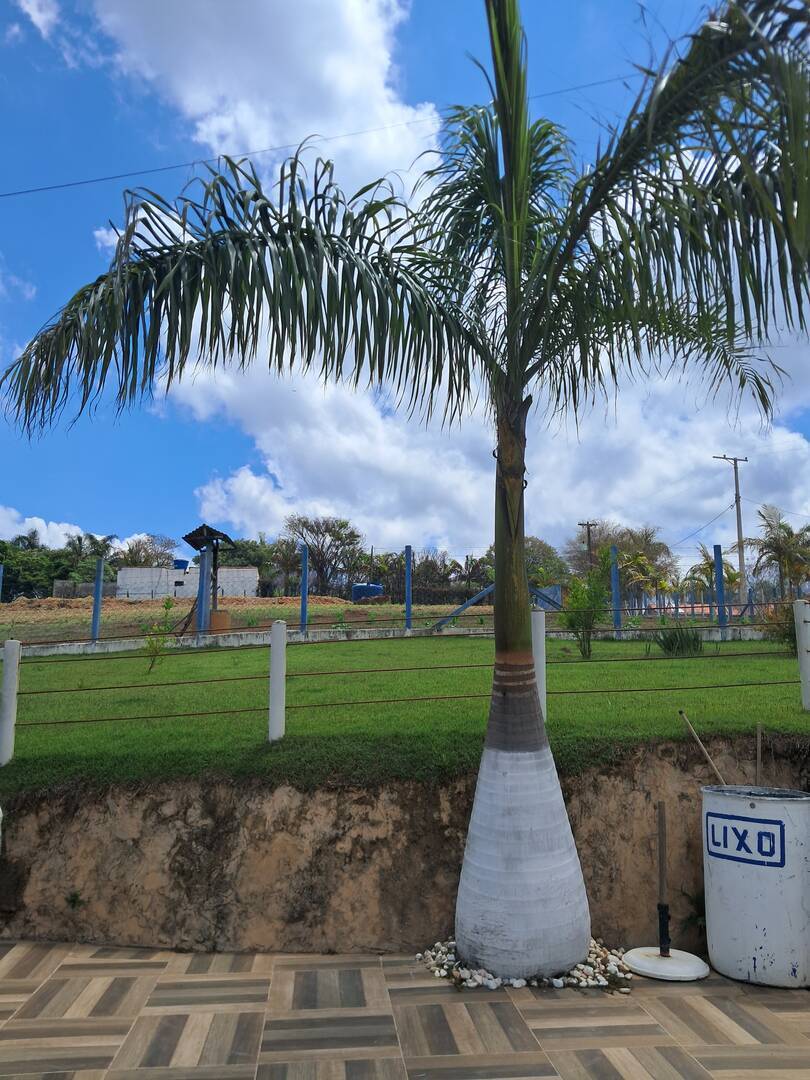 Terreno, 4 hectares - Foto 9