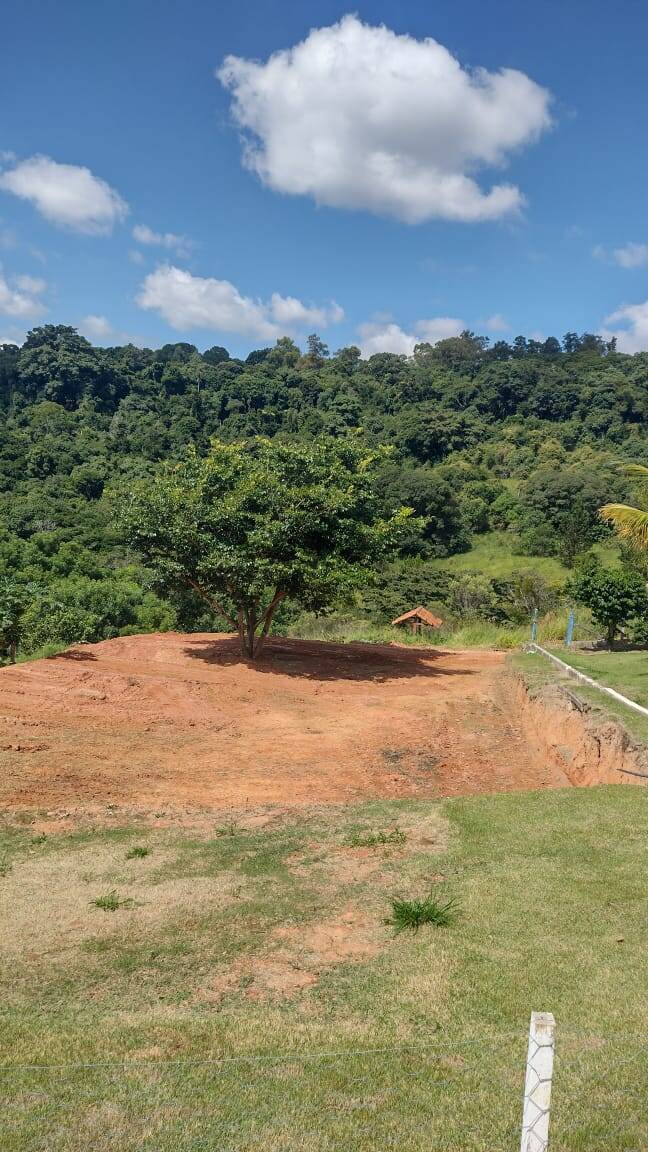 Terreno, 4 hectares - Foto 53