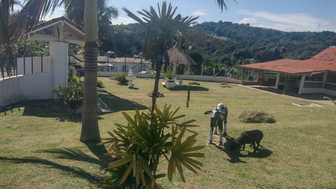 Terreno, 4 hectares - Foto 67