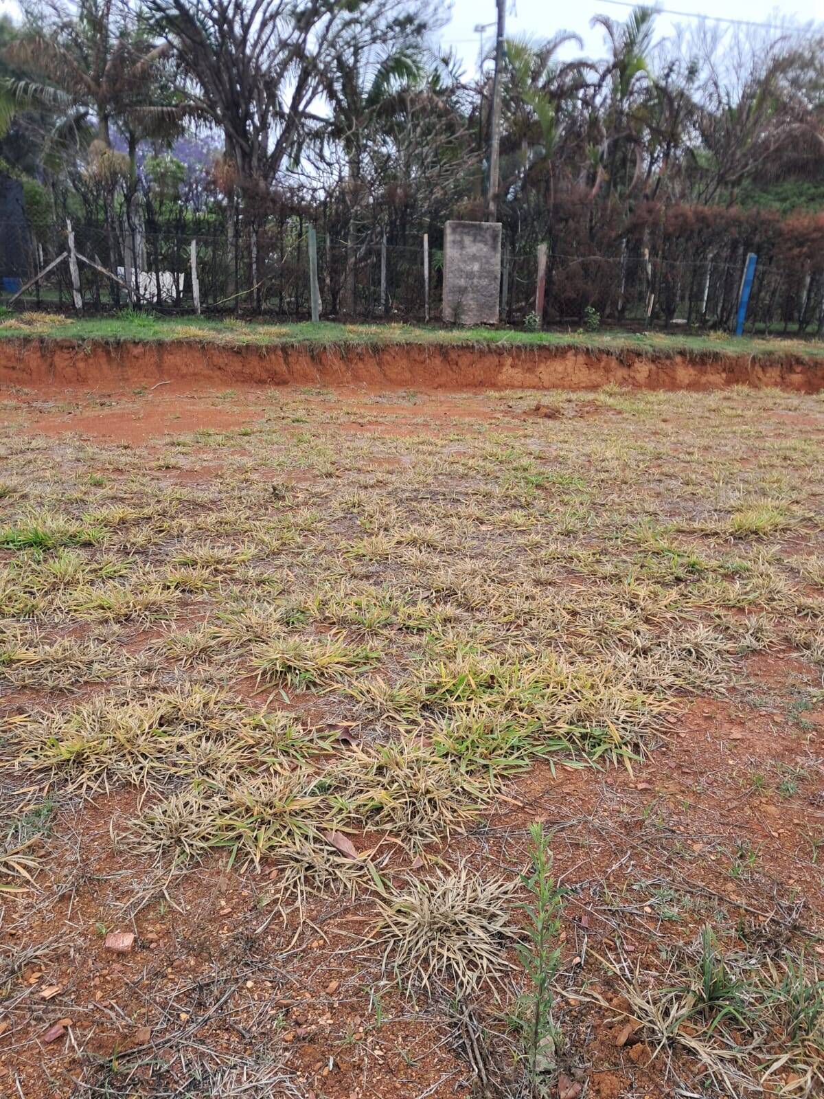 Terreno, 4 hectares - Foto 52