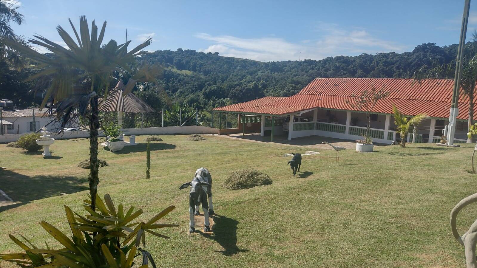 Terreno, 4 hectares - Foto 82