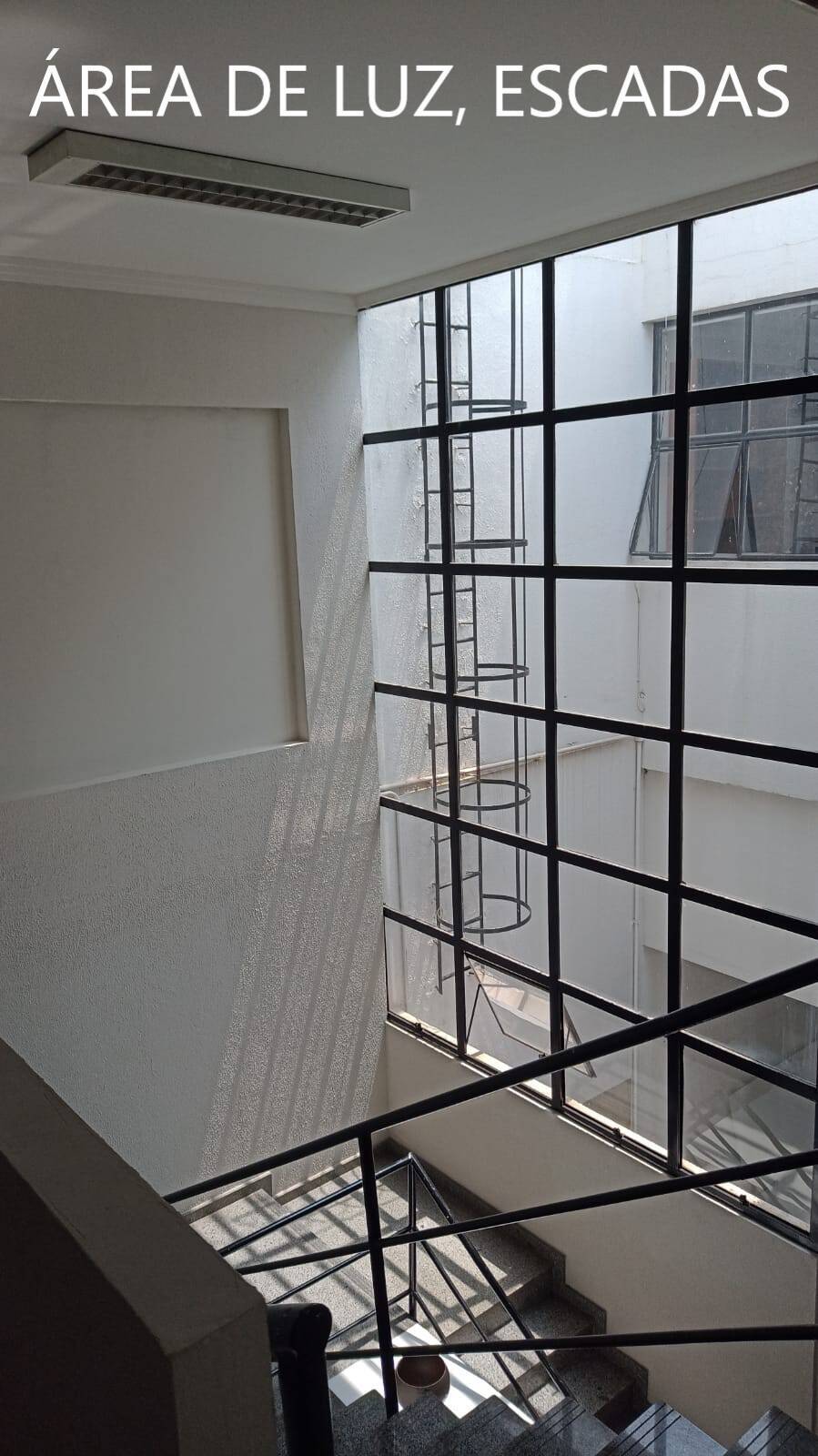 Loja-Salão, 315 m² - Foto 5