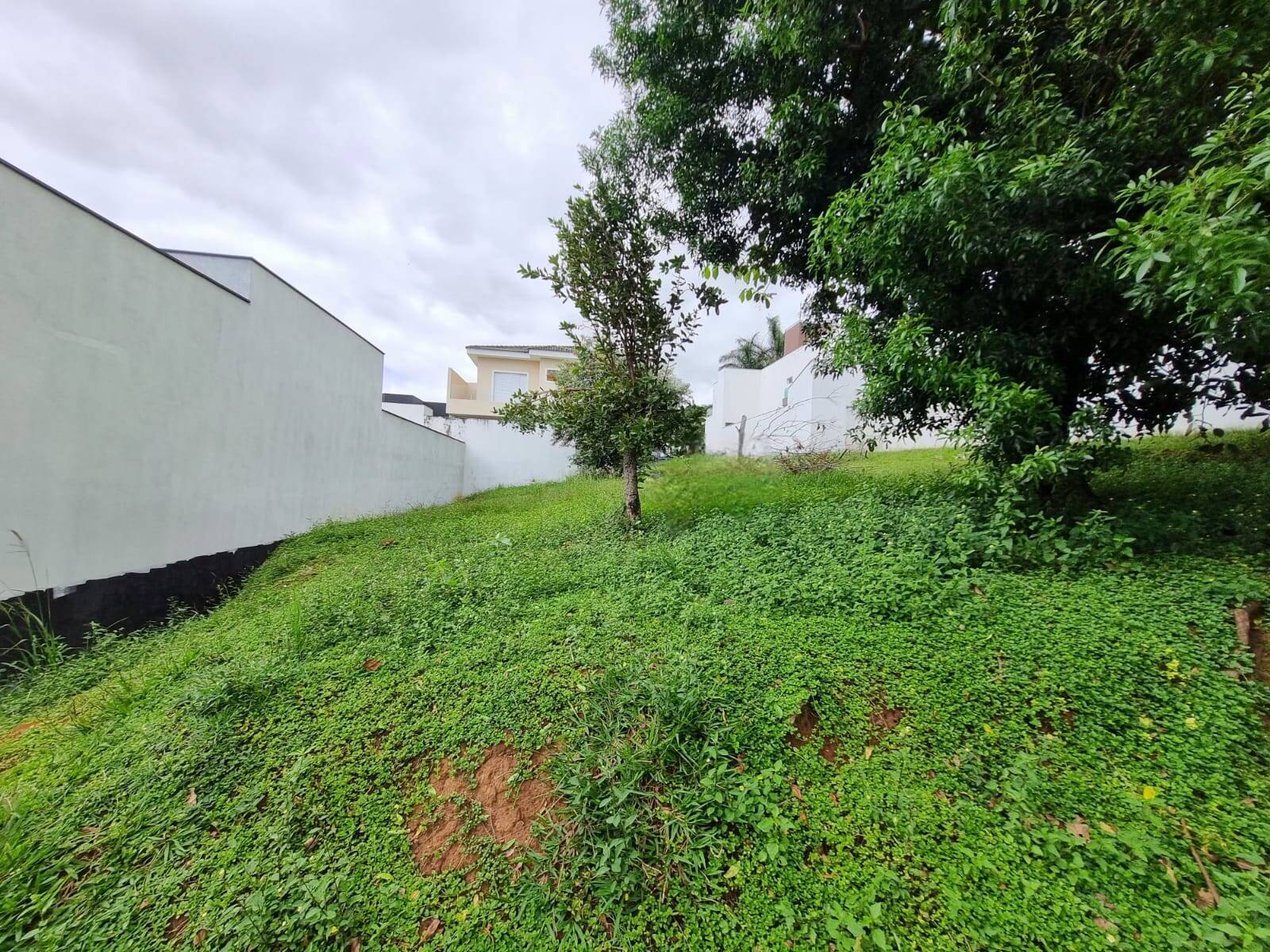 Terreno, 250 m² - Foto 1