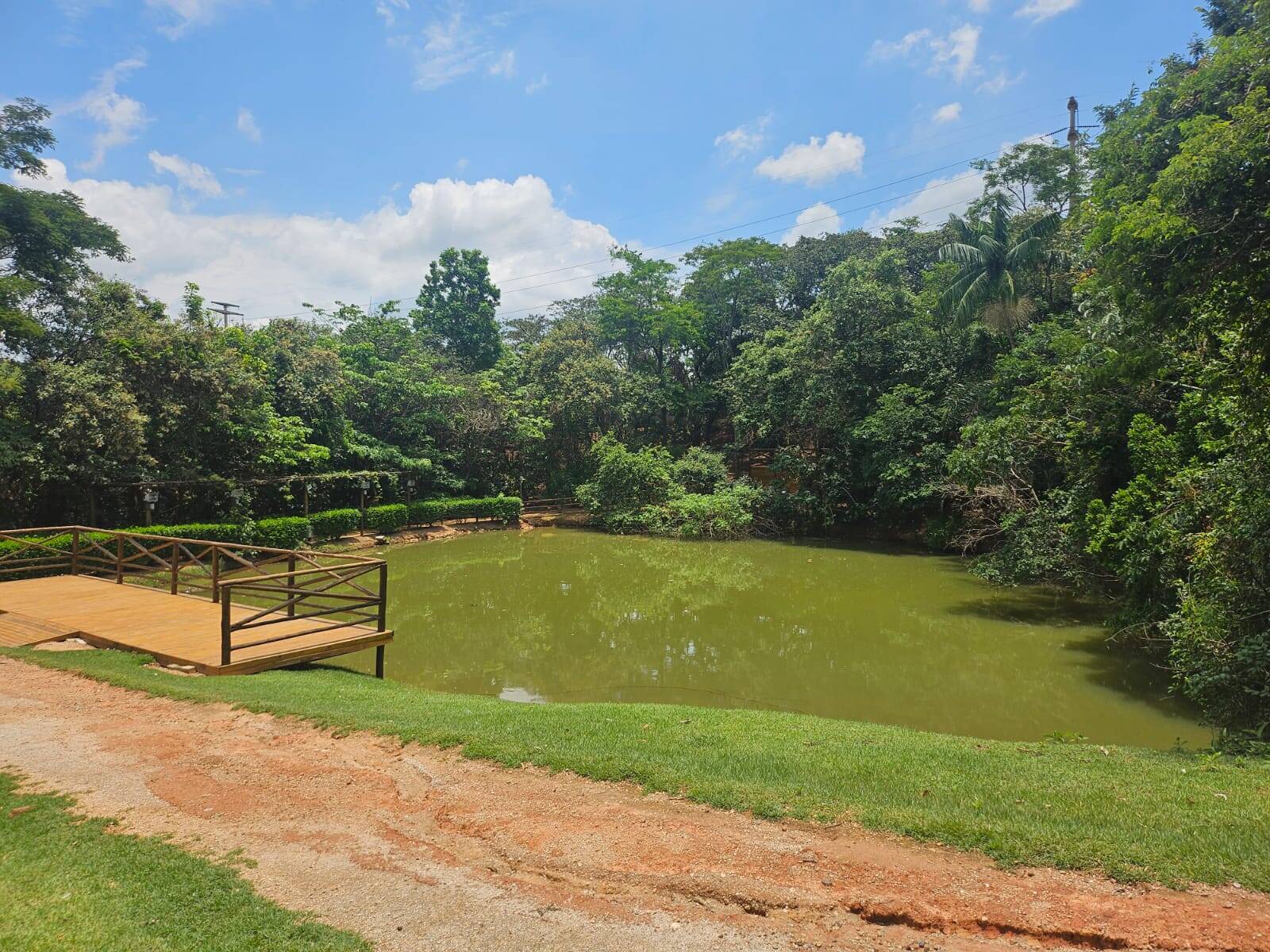 Terreno, 250 m² - Foto 5