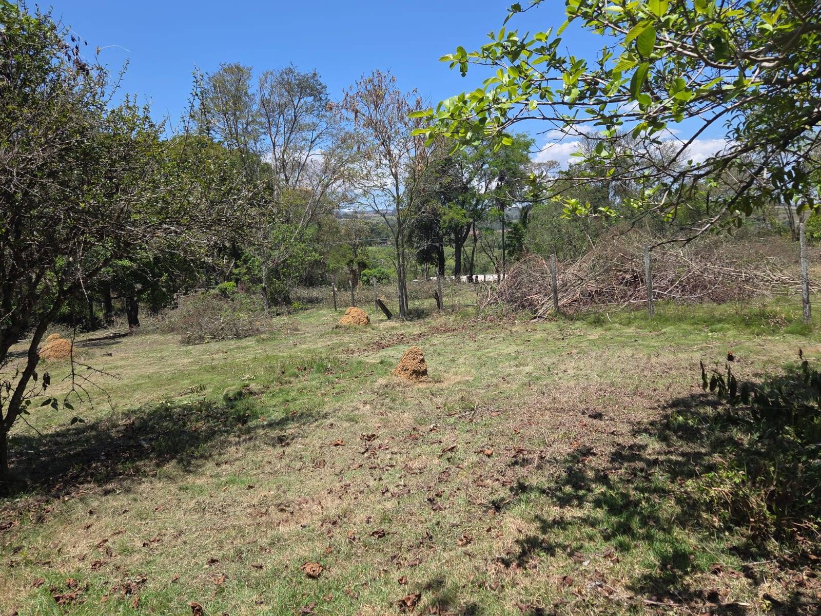 Terreno, 5600 m² - Foto 4