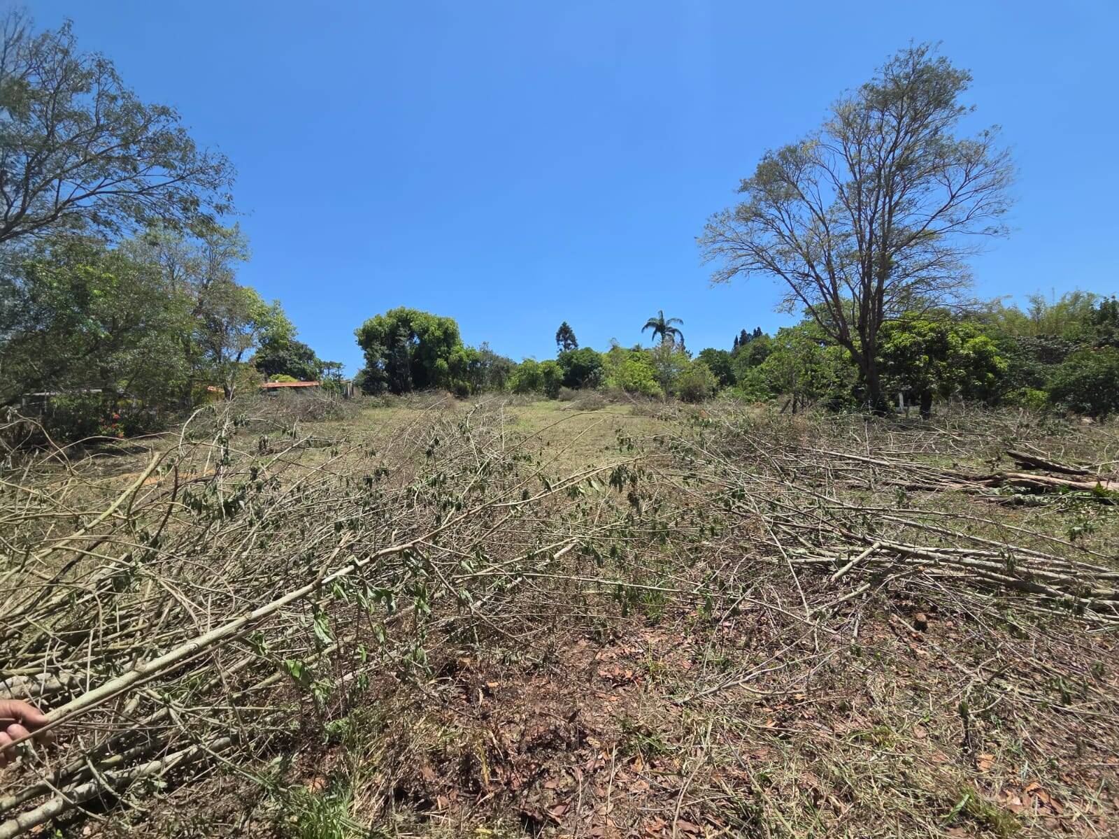 Terreno, 5600 m² - Foto 5