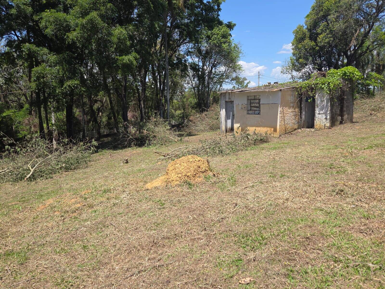 Terreno, 5600 m² - Foto 6